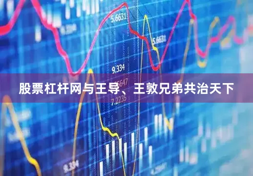 股票杠杆网与王导、王敦兄弟共治天下
