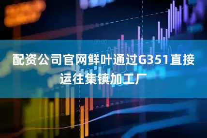 配资公司官网鲜叶通过G351直接运往集镇加工厂