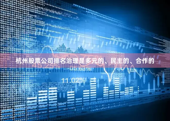 杭州股票公司排名治理是多元的、民主的、合作的